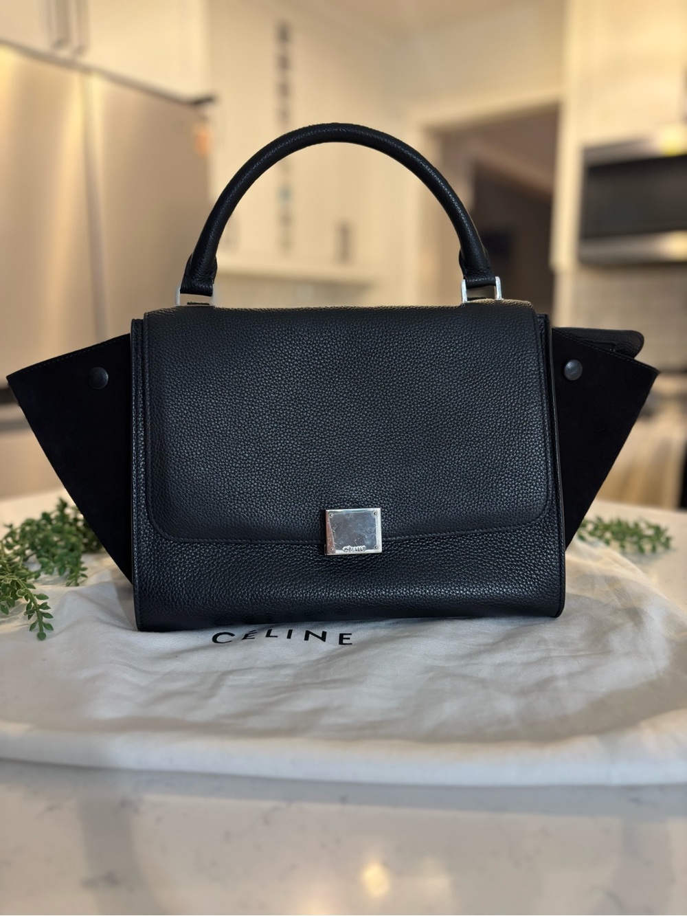 Celine Black Trapeze Satchel with Suede Wings